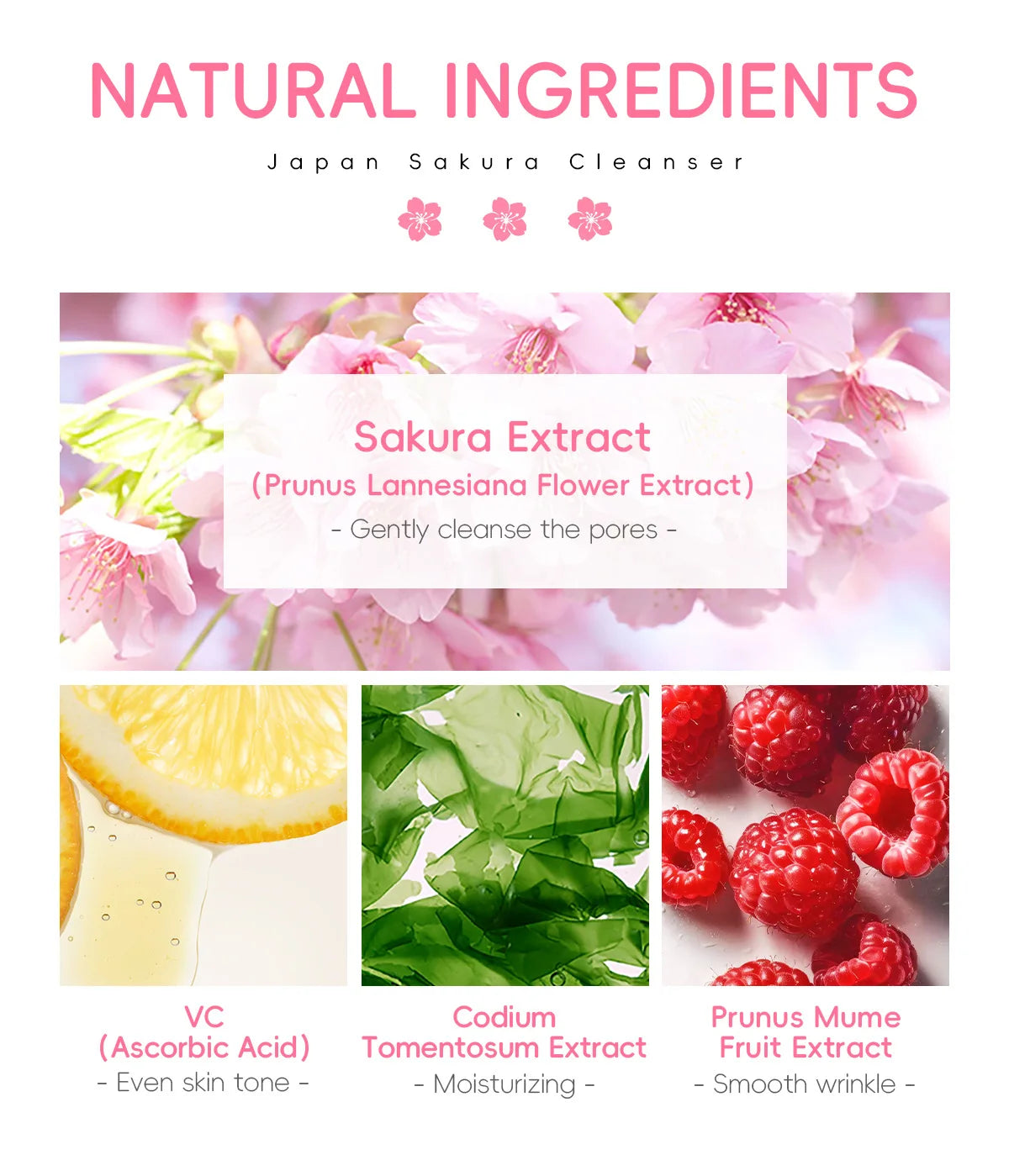 LAIKOU Sakura Gentle Face Cleanser 50g