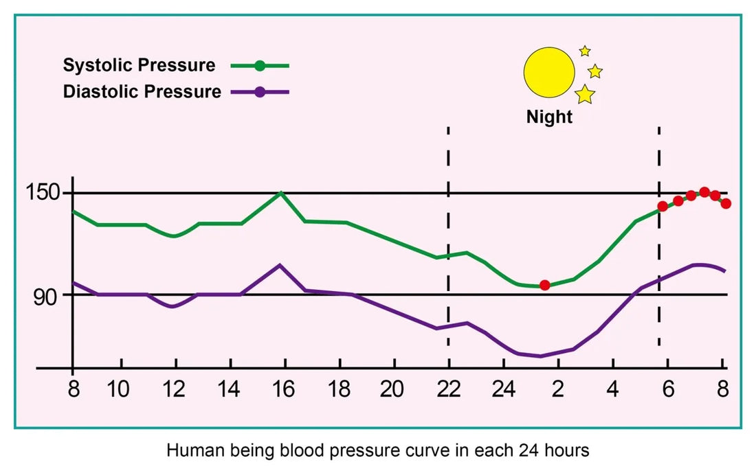 24-Hour Holter Smart Watch – BP & Health Tracker